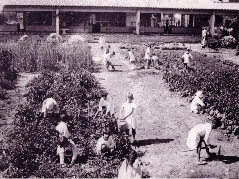 Imagen de la diapositiva