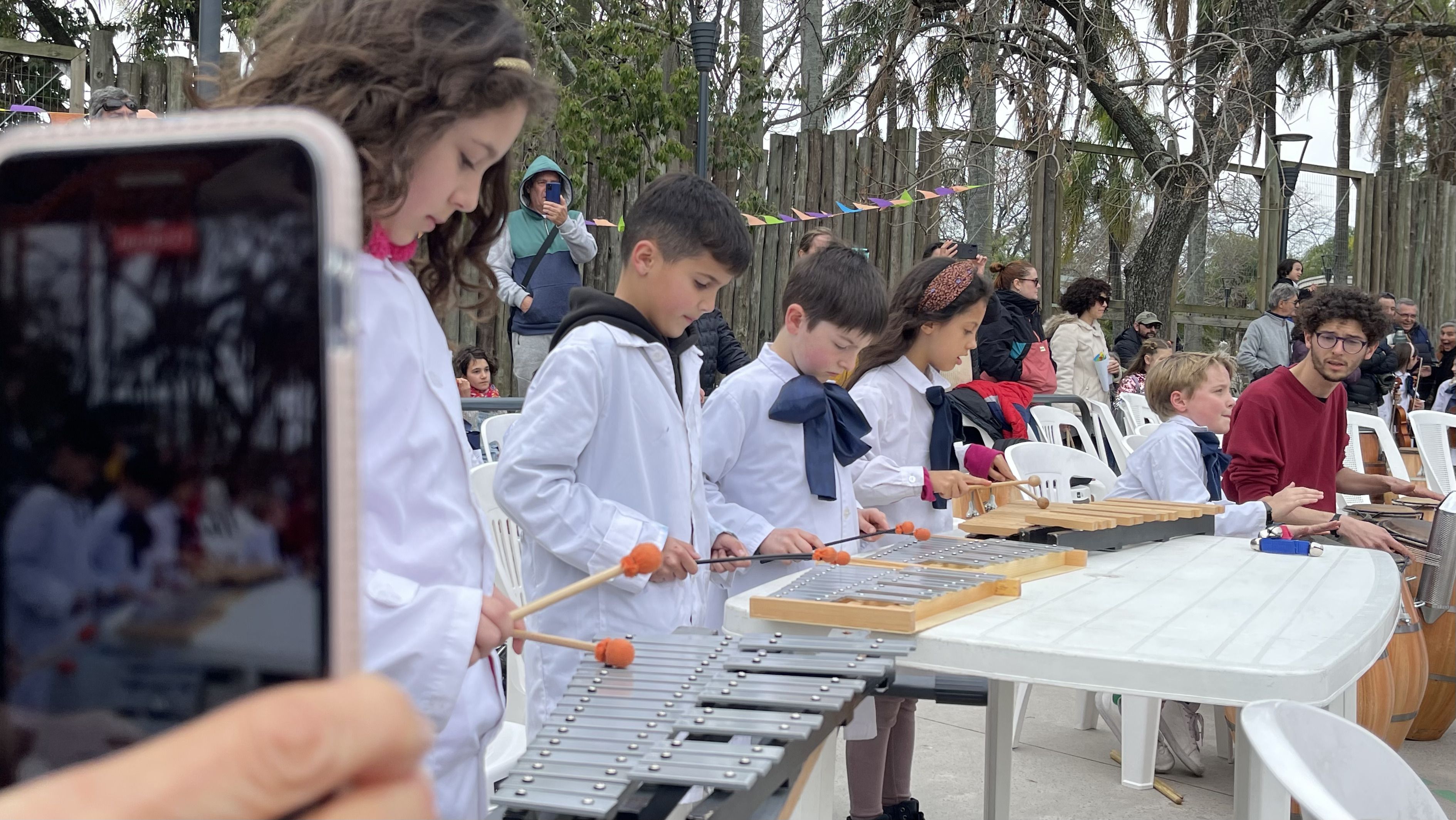 Imagen de la diapositiva